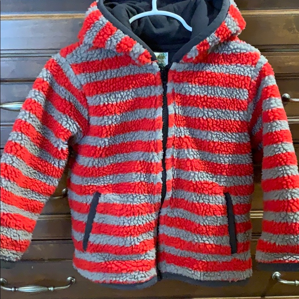 Gymboree Cozy Hoodie